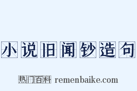 小说旧闻钞造句是什么意思的图片